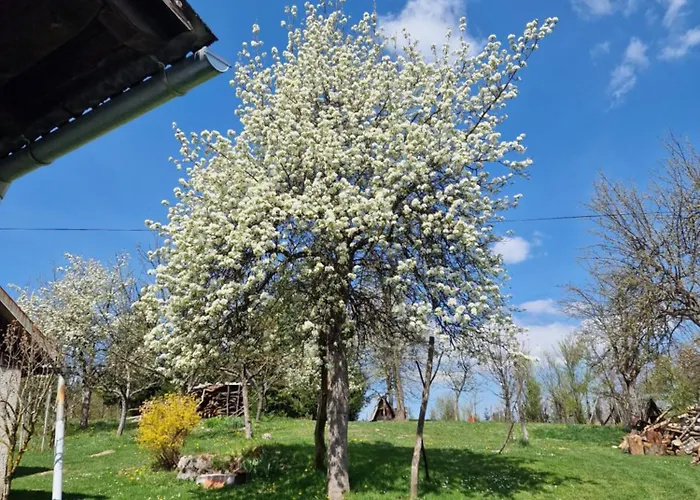 Appartement Luisiana
